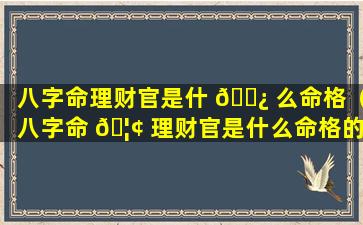 八字命理财官是什 🌿 么命格（八字命 🦢 理财官是什么命格的人）